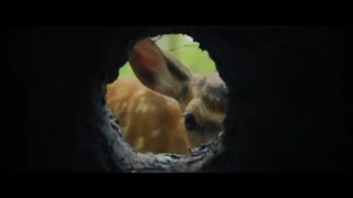 Bambi Uma Aventura na Floresta Full Movie HD NEW VERSION | LINK IN THE DESCRIPTION