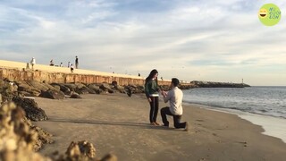 Đóng Tiền Mạng Thì Phải Xem Cái Này p68 #ChuaHe