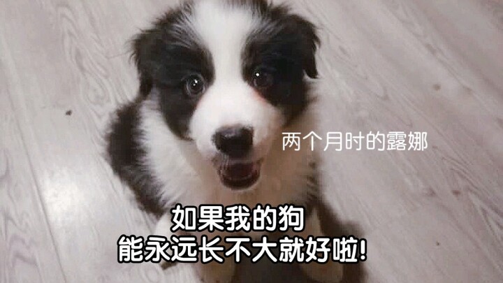 Ini juga bisa dibilang aku mewujudkan keinginan secara terbalik, ya…