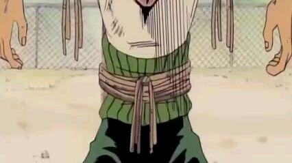 Roronoa Zoro - The Swordsman and the Right Hand of the Future Pirate king