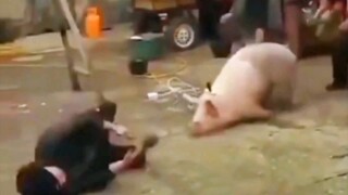 นึกว่าเรื่องฆ่าตัวตายตามกันไปเป็นแค่คำเล่าลือโบราณเท่านั้น