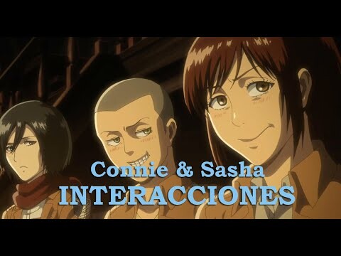 Connie & Sasha | Interacciones | Attack on Titan