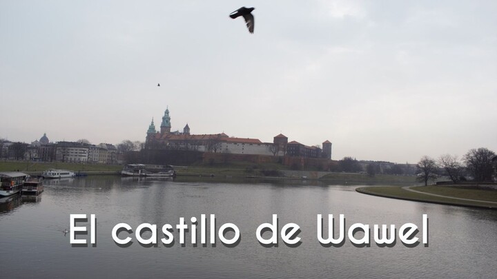 🇵🇱 Visita a las minas de sal de Wieliczka - Marzo 2018