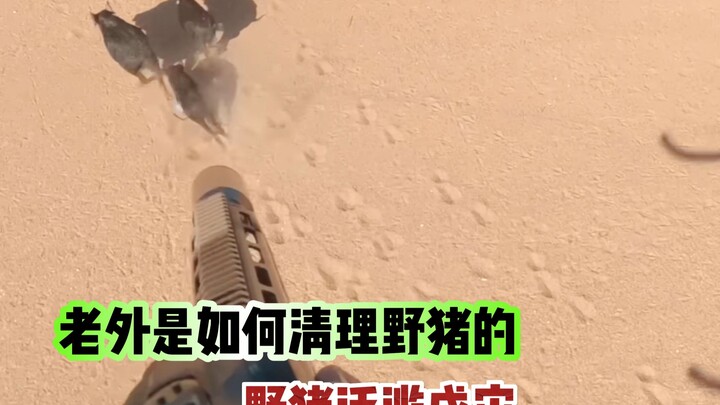 Bagaimana orang asing membersihkan babi hutan?