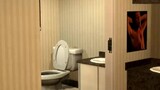 skibidi toilet episode 1