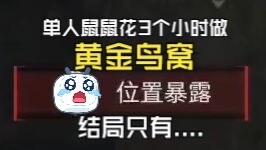 Kết cục duy nhất của nhiệm vụ tổ chim vàng dành cho một người chỉ có thể là cái chết