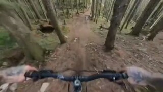 骑自行车飞跃丛林