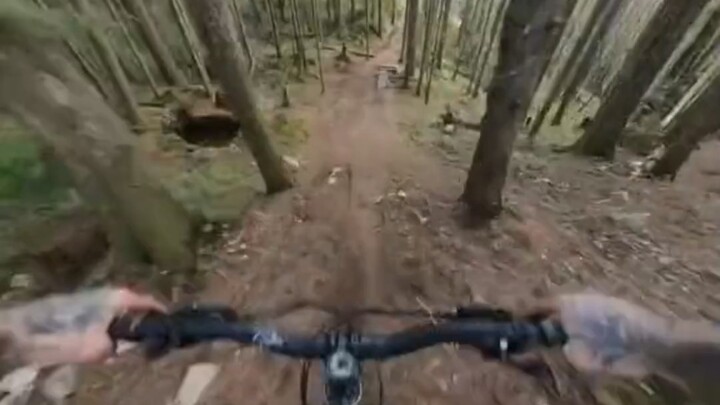 骑自行车飞跃丛林