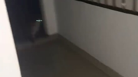 اختفى القط الصغير في المنزل، فجاء قطٌّ مشردٌ وتطوَّع لمرافقته والبحث عنه، بل وكان يتوقف بين الحين وا