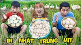 Hà Sam Đi Lượm Trứng Vịt Đẻ Rơi Ngoài Đồng - Ai Nhặt Được Nhiều Nhất Sẽ Thắng
