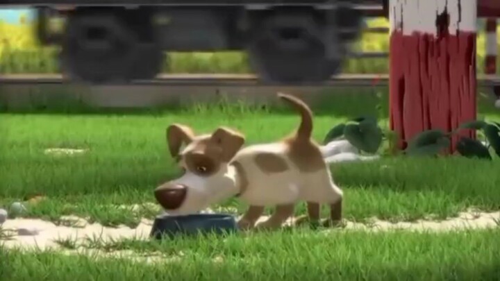 anjing sedang makan dengan senang