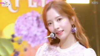 [KPOP][LIVE]<Butterfly>|WJSN