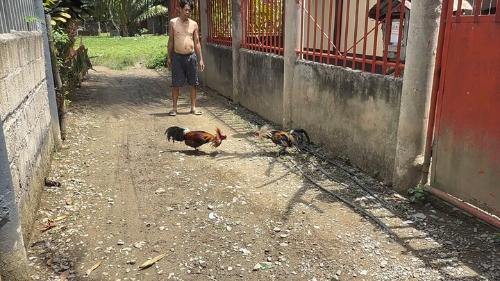 hatch Grey & Sweater