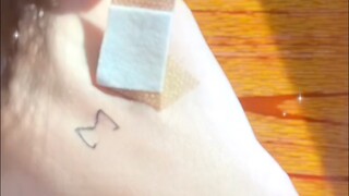 A ray of sunlight falls on the desk, and I spot a note hidden under the book. It holds a secret abou