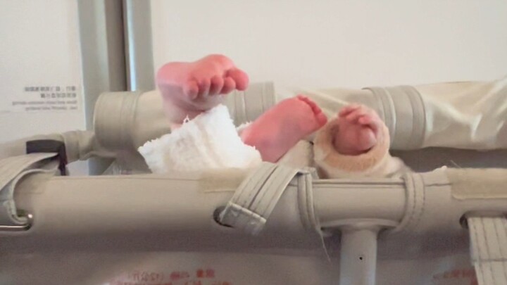 Di dalam pesawat ada seekor bayi lucu yang suka ngoceh!