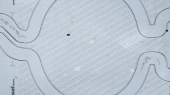 โร้ปโปะ การ์ดจิงเชอ: การแข่งขันวิ่งเร็วของสเปิร์มครั้งแรกของโลก