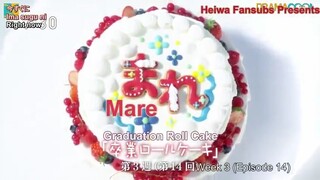 Mare EP-14