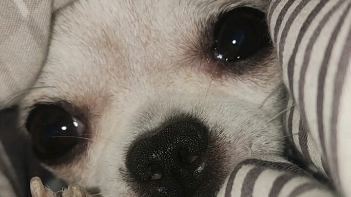 When you lie in bed for a long time, something like this will pop out of nowhere from under the cove