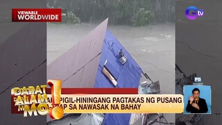 Pusa, na-trap sa nawasak na bahay sa kasagsagan ng malakas na ulan | Dapat Alam Mo!