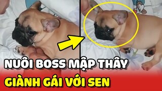 Anh chàng BẤT LỰC vì bị Boss mập GIÀNH GÁI của mình 😂 | Yêu Lu