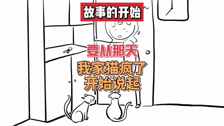 The story begins with the day my cat went crazy.