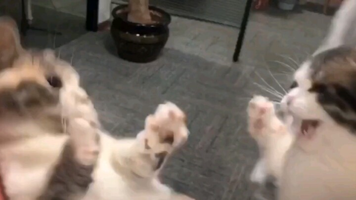 是我给你自由过了火