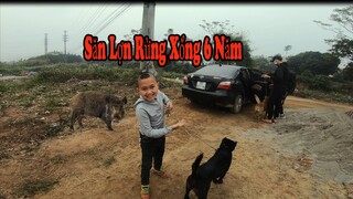 Mao Đệ Săn Lợn Rừng Sổng 6 Năm  Và Pha Đi Lạc Vào Vùng   Tâm Linh Của Nguyên Bất Lực Cực Hoảng Sợ