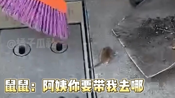 My little mouse: I’m done for today.