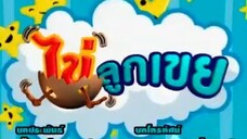 ไข่ลูกเขย29