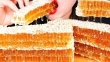 ASMR RAW HONEYCOMB COMPILATION (BITE ONLY) เสียงเคี้ยว Honeycomb Honeycomb EATING SOUNDS MUKBANG