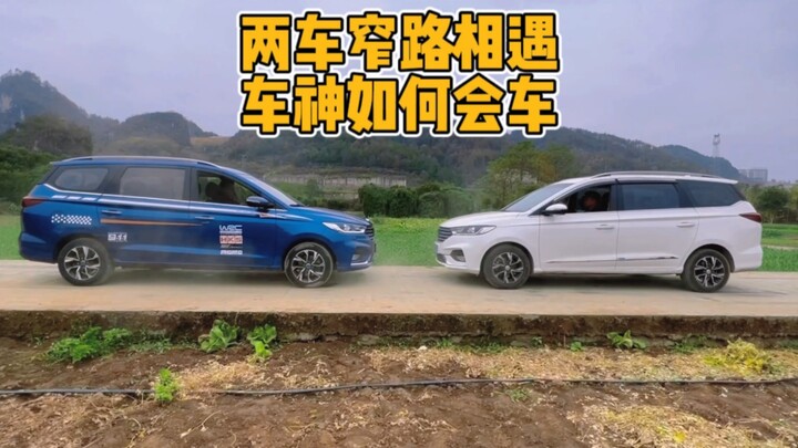 Have you ever seen a situation where cars can only pass each other on a narrow road by each taking h