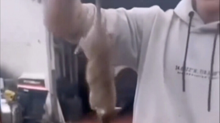 Penghilang depresi kelas epik p17