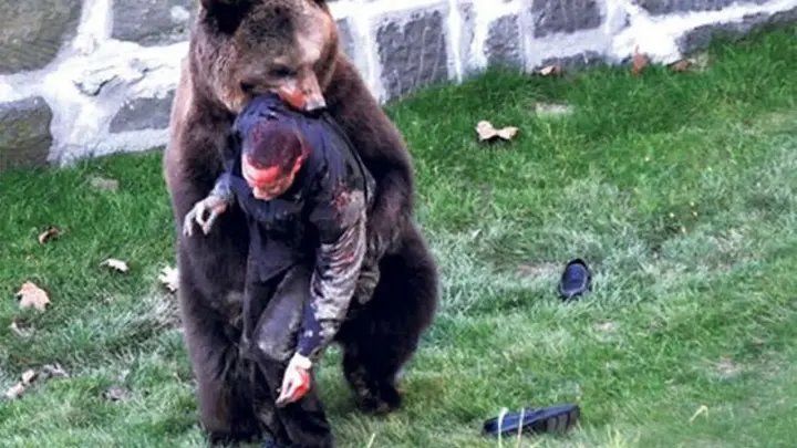 UNBELIEVABLE Bear Attacks Caught On Camera