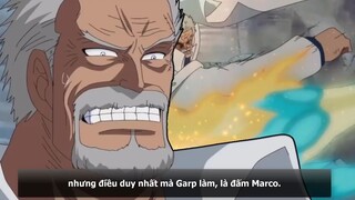 Sức mạnh của Phó Đô Đốc GARP  Nhân vật sở hữu HAKI VŨ TRANG Mạnh Nhất One Piece