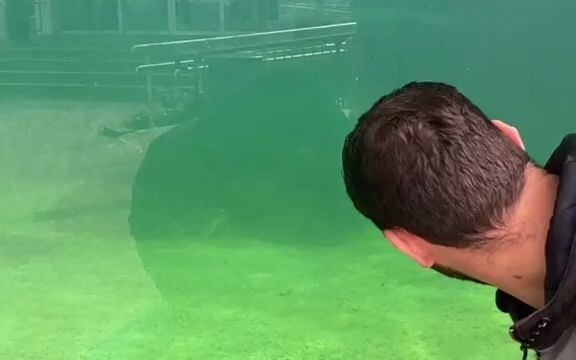 Indeed, it's not obvious at all.