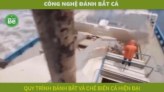 be1-4 - quy trình đánh bắt cá hiện đại