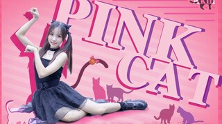 【鱼丸】✚PINK CAT✚     (●ↀωↀ●)✧