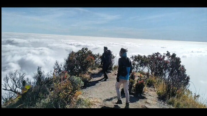 Samudera awan di puncak sejati Gunung Sumbing