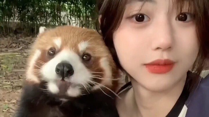 ดูแล้วอารมณ์ดีขึ้นแน่นอน