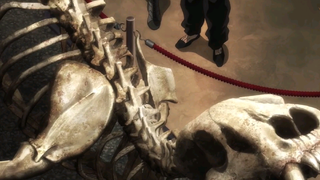 hóa thạch khủng long kìa #edit