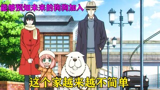 能够预知未来的狗狗加入，这个家越来越不简单