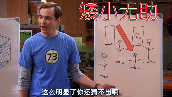 【Bật cười với cuộc sống】Chơi đoán tranh cùng Sheldon thì cảm giác thế nào nhỉ~