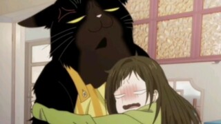 Cô chủ bị bệnh, cần ôm mèo lớn để khỏi bệnh ~ Mèo Tiên