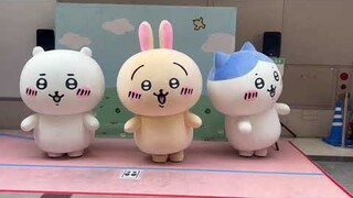 ちいかわの写真撮影会イベント📹うさぎ🐰の誕生日パーティー🎂