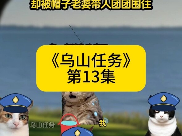 《乌山任务》第13集 #猫emem #猫meme小剧场 #柯南 #原神