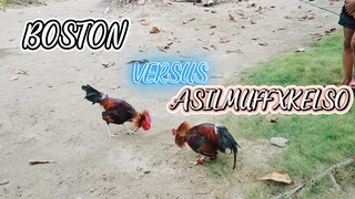 SPAR!      BOSTON NG KAPITBAHAY KONTRA SA ATING 1X WINNER ASILMUFFXKELSO
