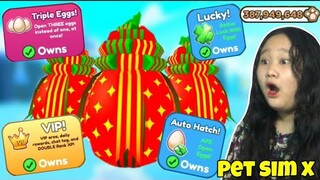 HATCHING *CHRISTMAS EGGS* 🎄 TO GET THE HUGE FESTIVE CAT IN PET SIMULATOR + BUYING GAMEPASSES 2022