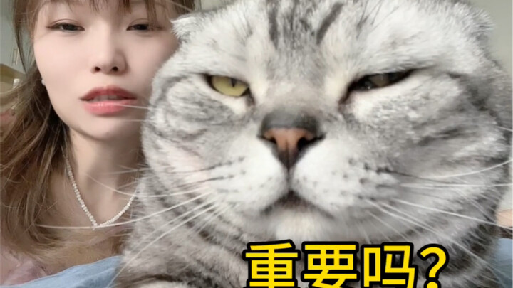 هل يفهم صوتي العادي أم لا؟ هذا غير مهم!