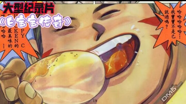大型纪录片《白宝宝传奇》