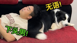 当你强行拿狗子当枕头，看看它们什么反应？
